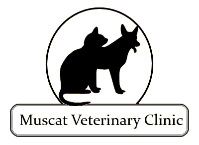 Welcome to Muscat veterinary clinic 